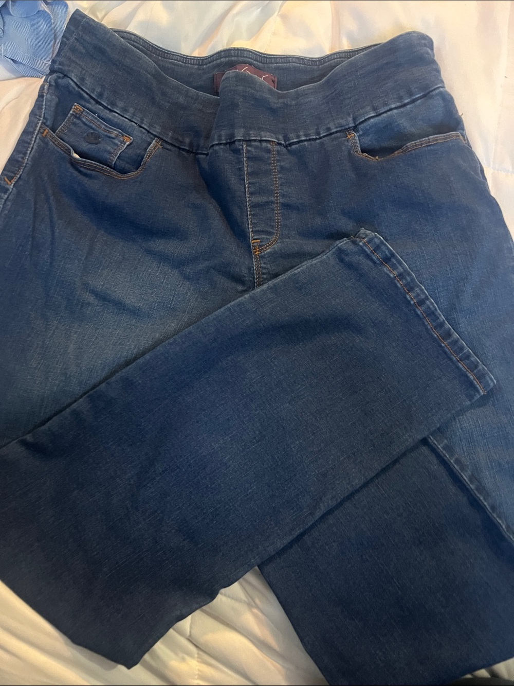 Gloria Vanderbilt Women's Straight Leg Jeans in Dark Blue
